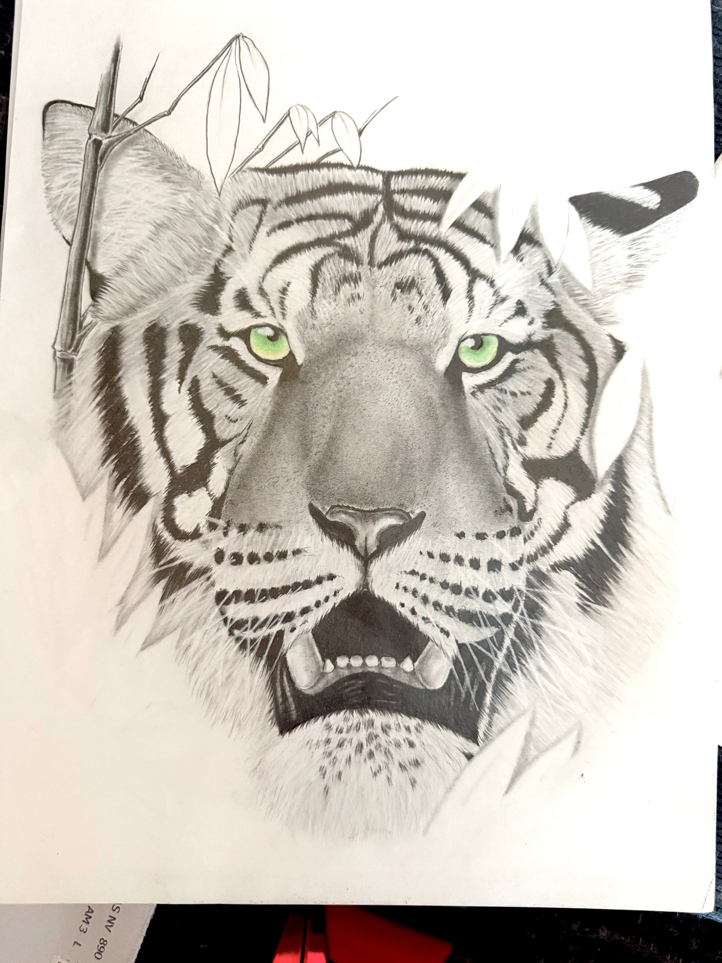 *Shere Khan* Art by Chioke Gadsden