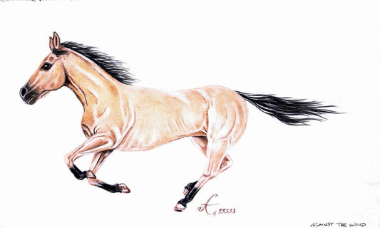 *Buckskin Beauty* Art by Anthony Echols