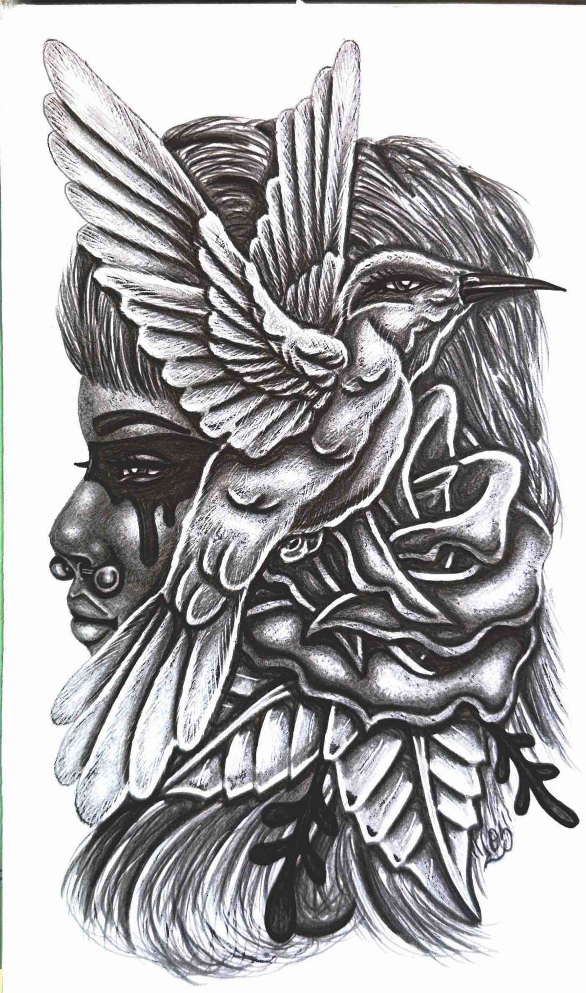 *SongBird* Art by Carlos Vargas