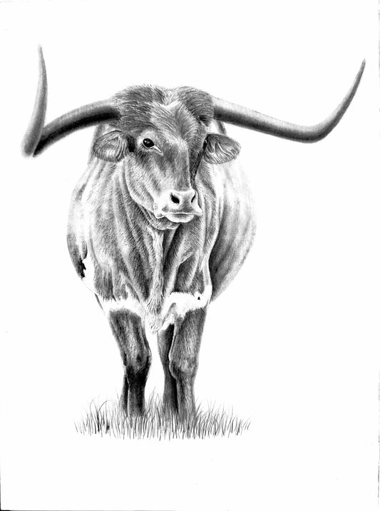 *Longhorn Legacy* Art by Albert Dawson