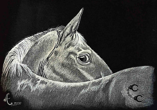 *Reflect* Art by Anthony Echols x
