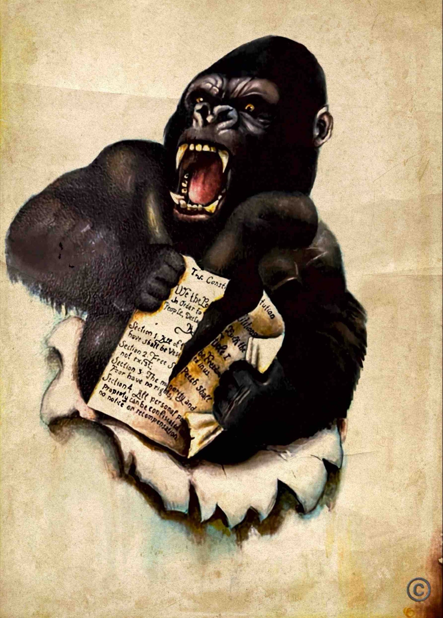 *W.A.R.F.A.R.E*  Art by Arthur Beraha