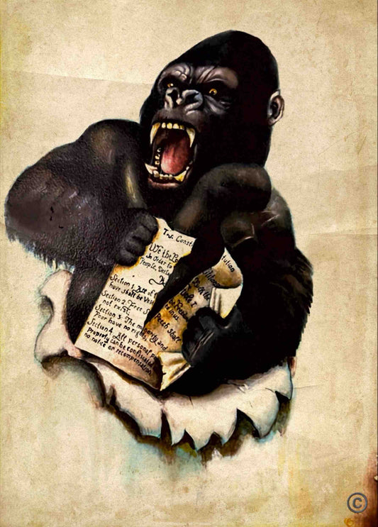 *W.A.R.F.A.R.E*  Art by Arthur Beraha
